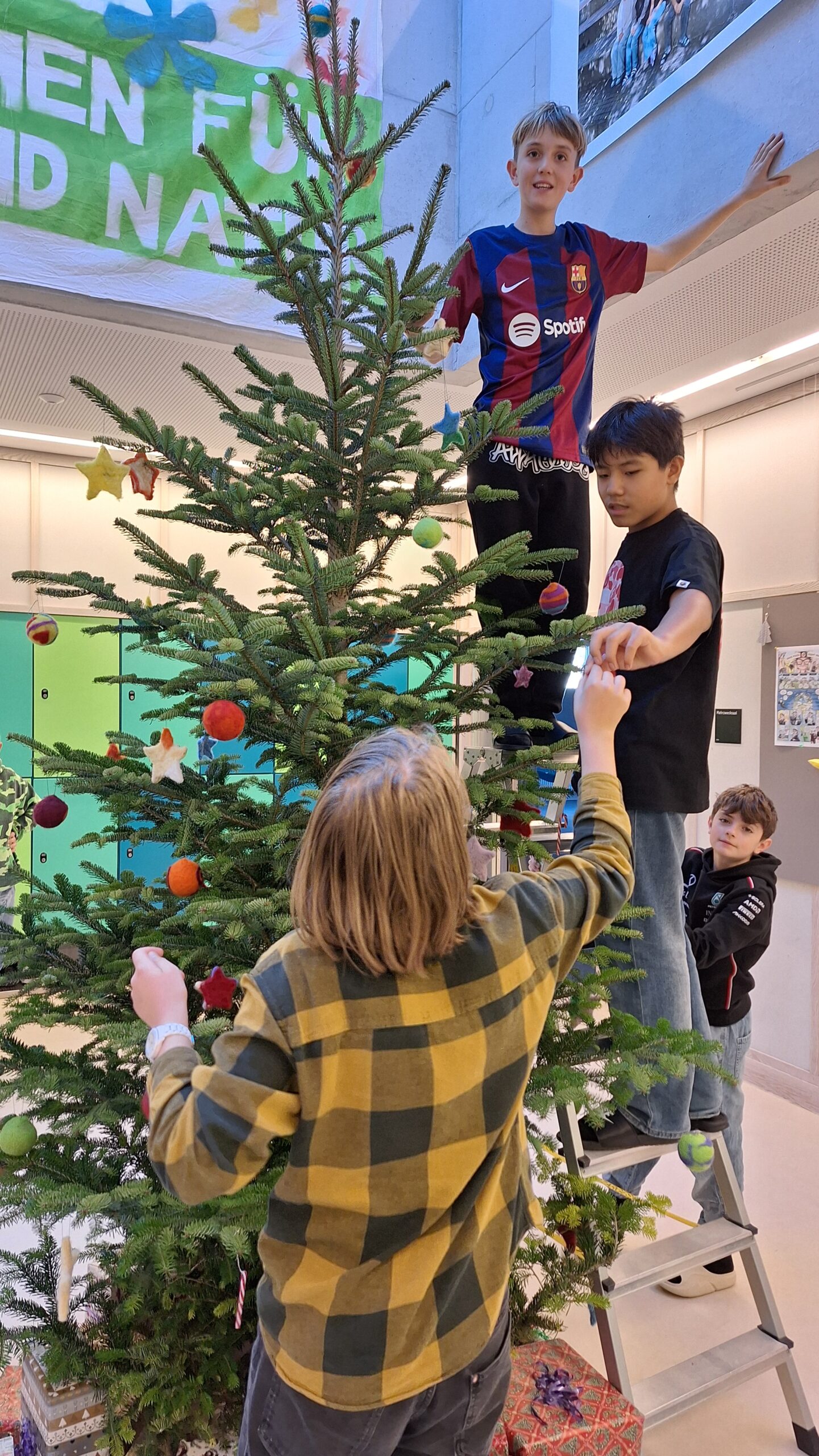 RSBSJ2425 Weihnachtsdeko (6)