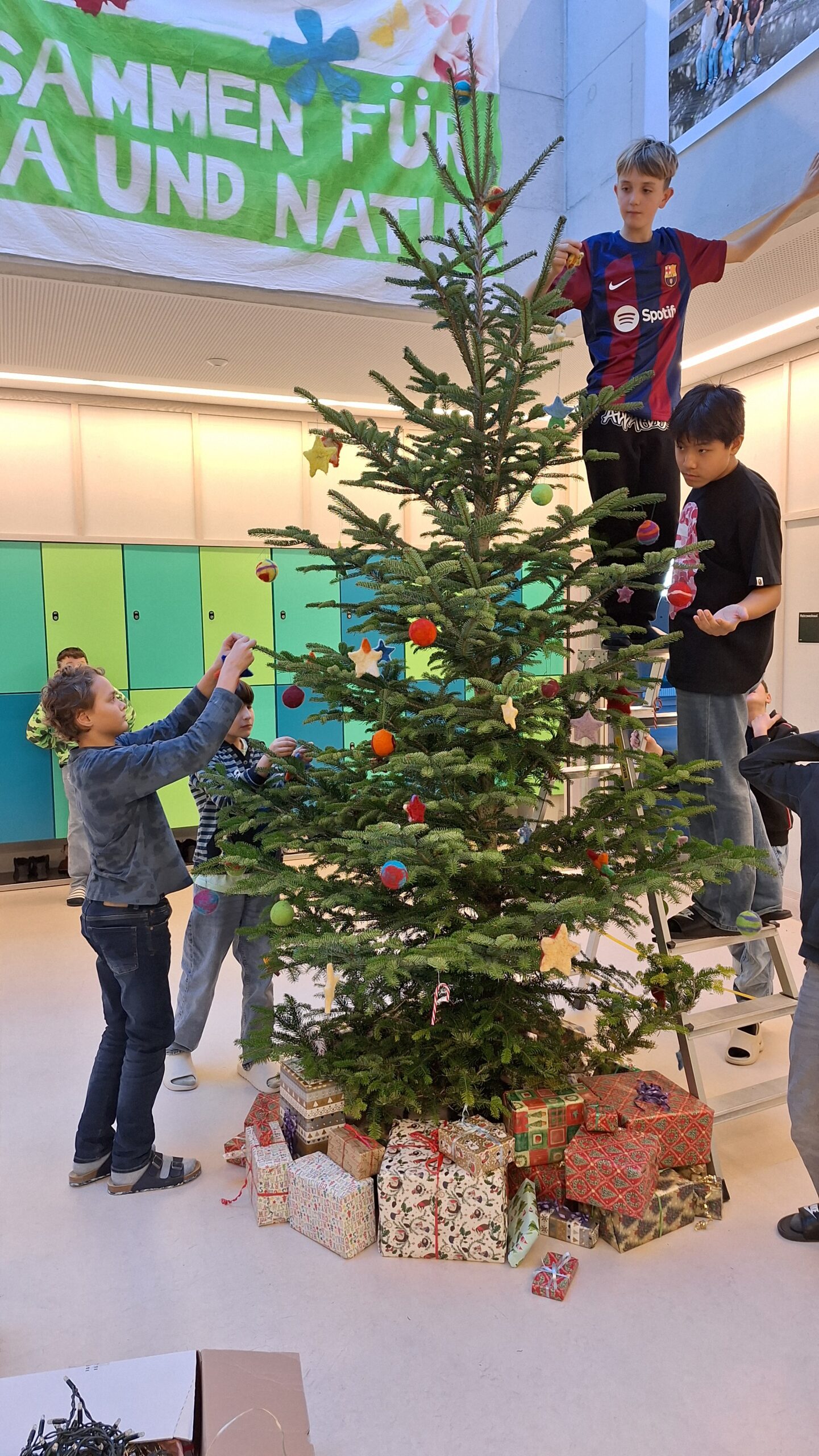 RSBSJ2425 Weihnachtsdeko (7)