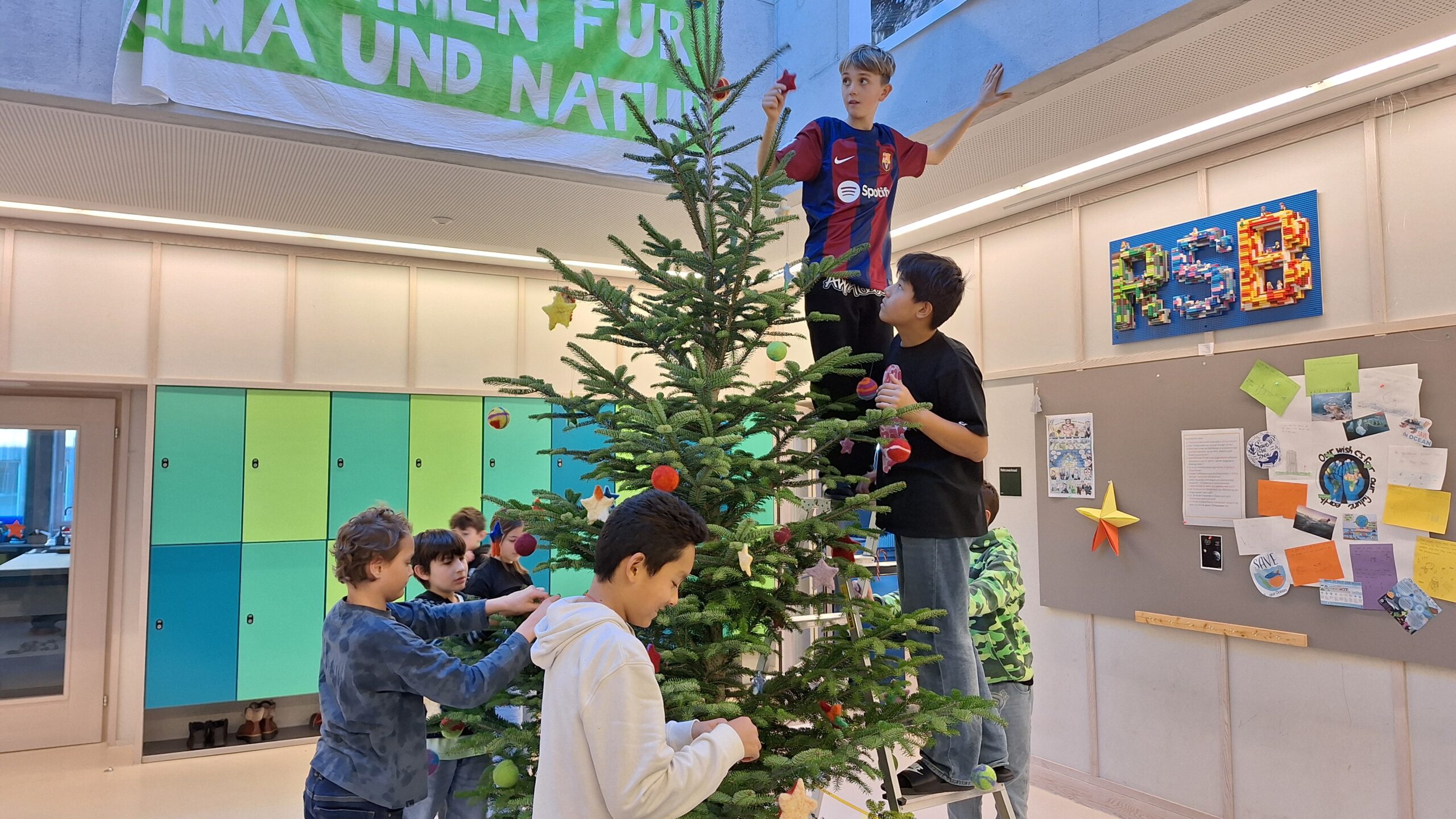 RSBSJ2425 Weihnachtsdeko (8)