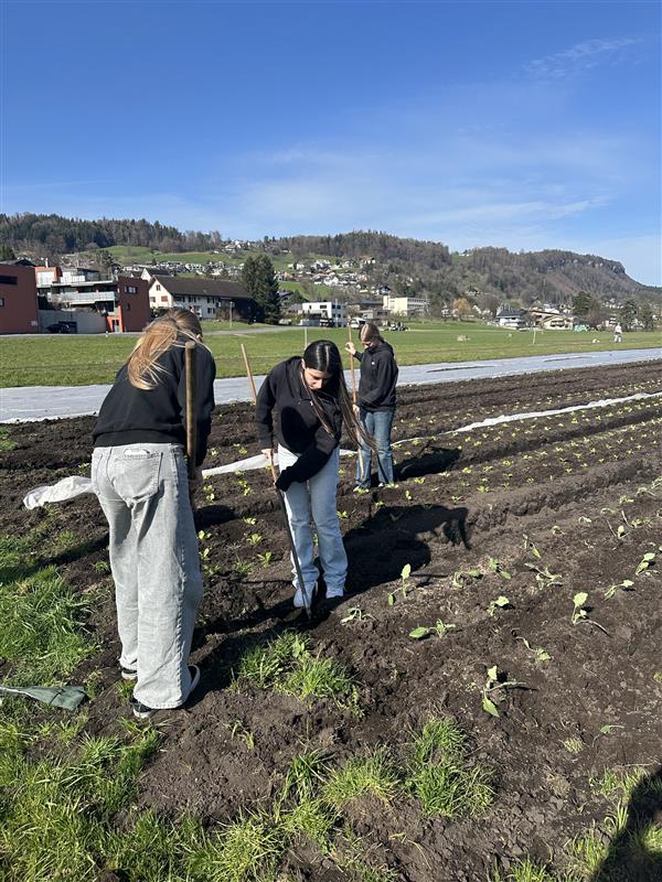 Sozialer Einsatz (3)
